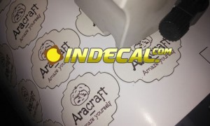 in decal nhựa giá rẻ lấy ngay - in decal PVC, decal trong đẹp