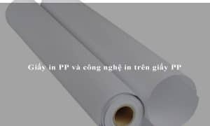 Giấy in PP và công nghệ in trên giấy PP