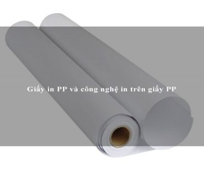 Giấy in PP và công nghệ in trên giấy PP
