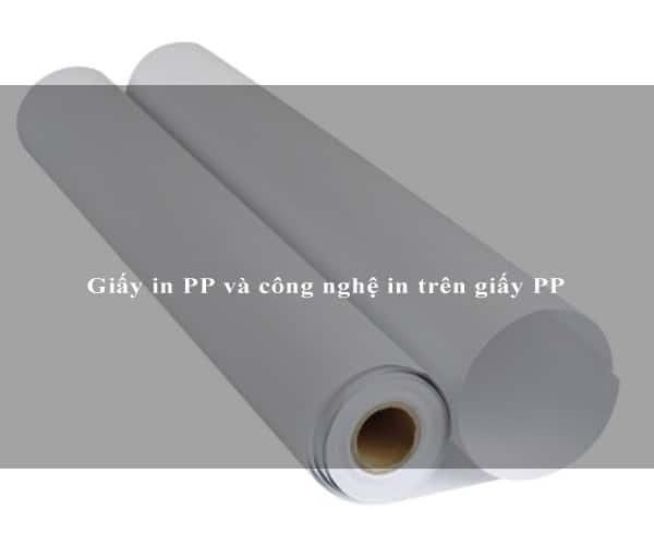 Giấy in PP và công nghệ in trên giấy PP