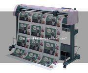 In decal kỹ thuật số khi nào?