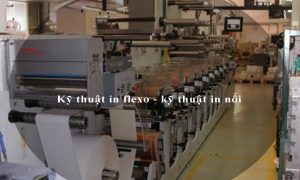 Kỹ thuật in flexo - kỹ thuật in nổi