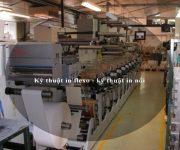 Kỹ thuật in flexo - kỹ thuật in nổi