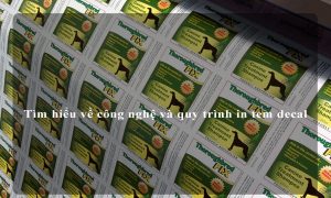 Tìm hiểu về công nghệ và quy trình in tem decal