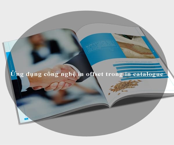 Ứng dụng công nghệ in offset trong in catalogue