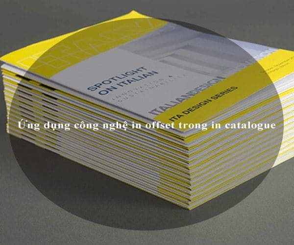 Ứng dụng công nghệ in offset trong in catalogue 4