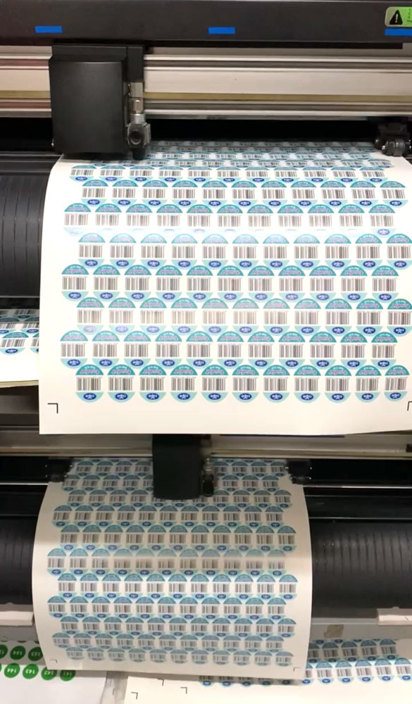 in cắt bế tem vỡ, nhãn bảo hành